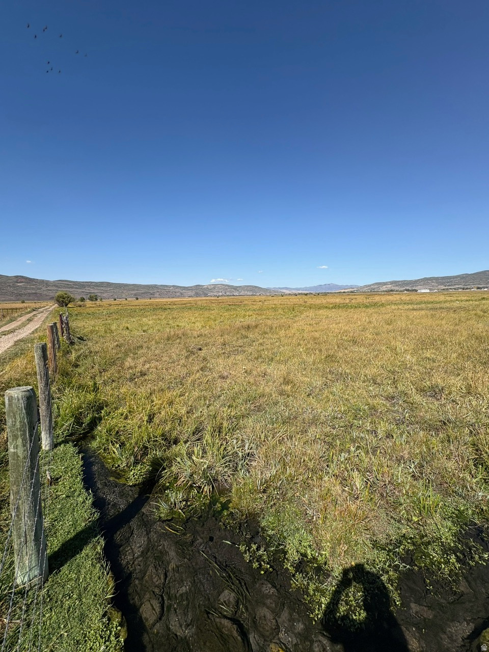 3001 N STATE ROAD 32