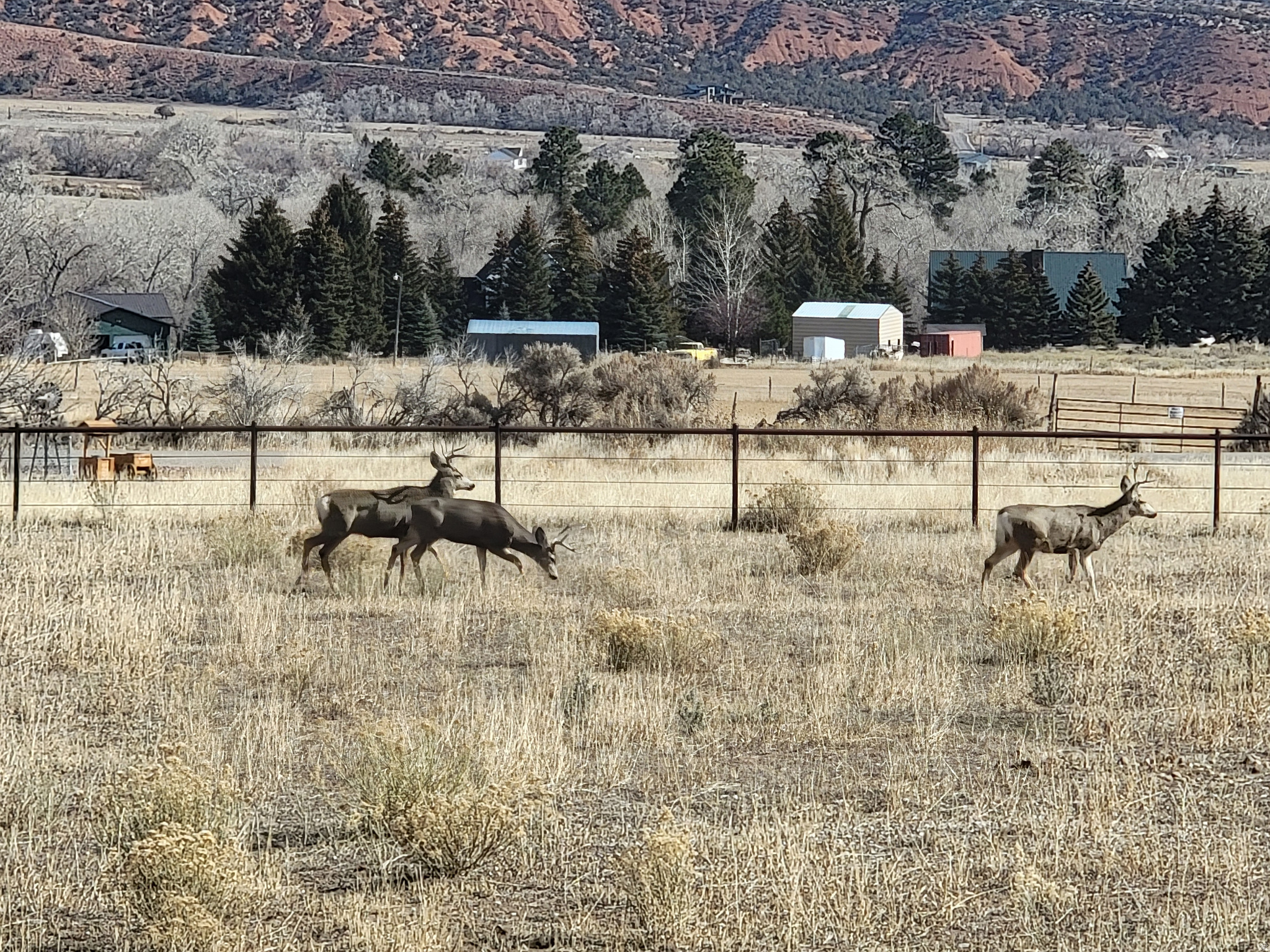 SAWTOOTH PARK PUD SUB - Residential