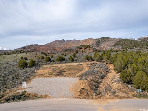 Tiny photo for 5247 COUGAR RUN #44, Birdseye, UT 84629 (MLS # 1902250)