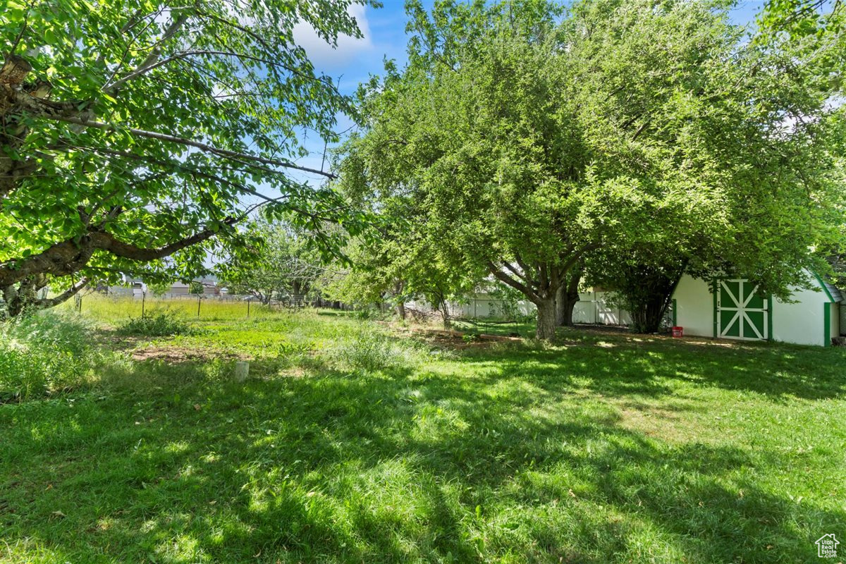 MAYO RANCH'S SUB - Residential