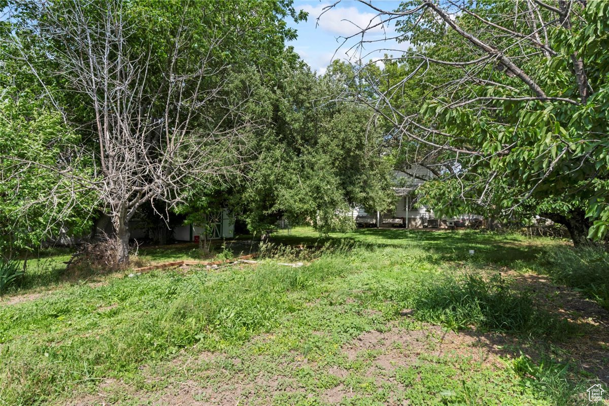 MAYO RANCH'S SUB - Residential