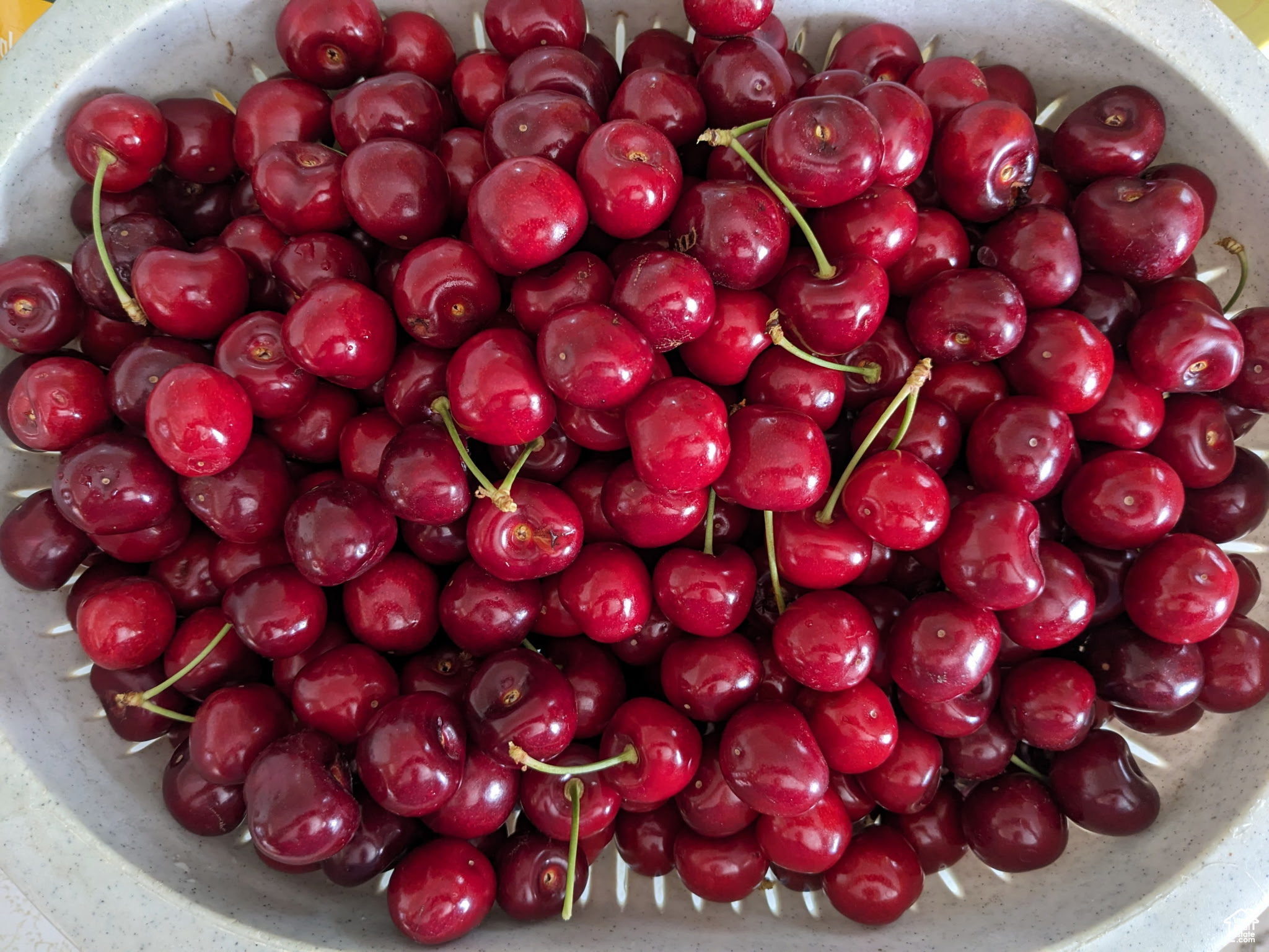 MAYO RANCH'S SUB - Residential