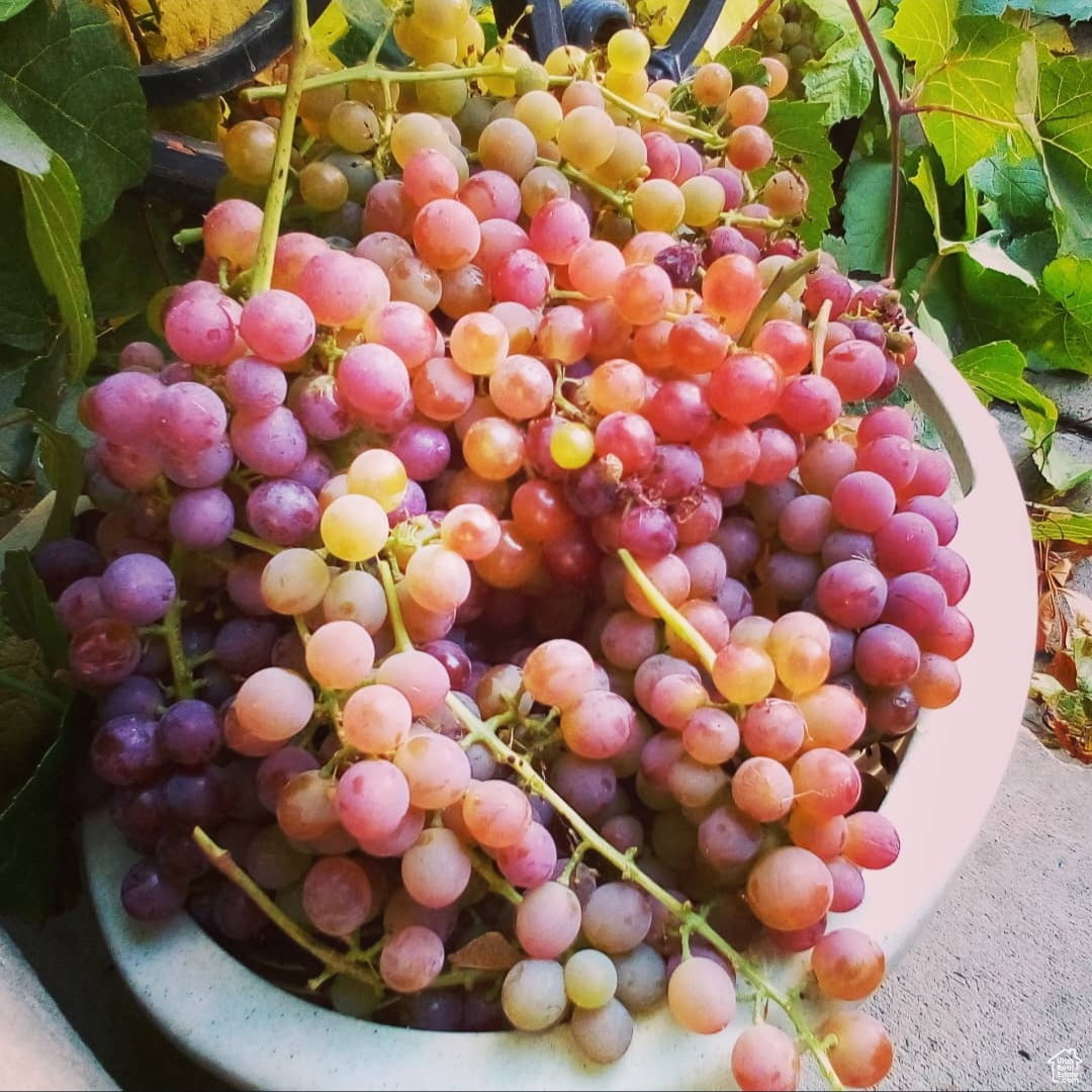 MAYO RANCH'S SUB - Residential