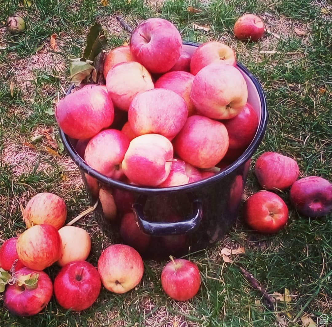 MAYO RANCH'S SUB - Residential