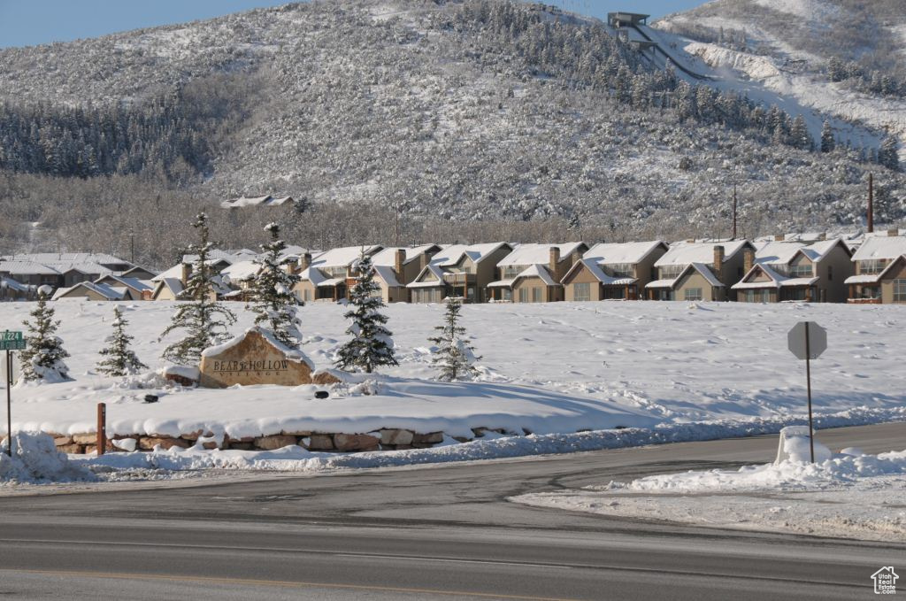 BEAR HOLLOW VILLAGE SUBDIVISION - Residential