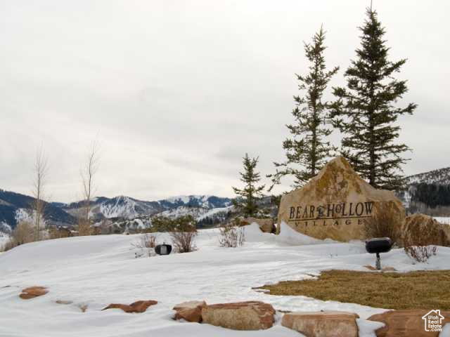 BEAR HOLLOW VILLAGE SUBDIVISION - Residential