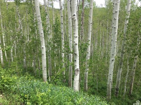 Vacant Land For Sale - 2183 Aspen Dr #G-54<br/> Coalville, UT 84017