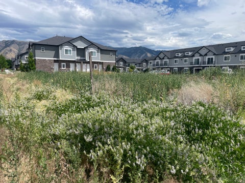 Vacant Land For Sale - Land<br/> Logan, UT 84321