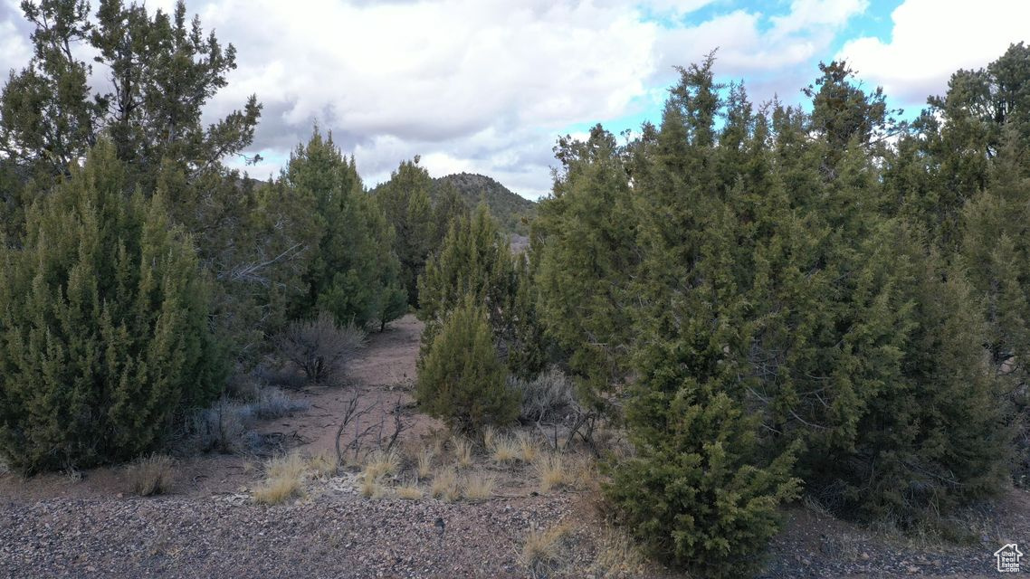 177 E Forest Dr, Central, Utah image 14