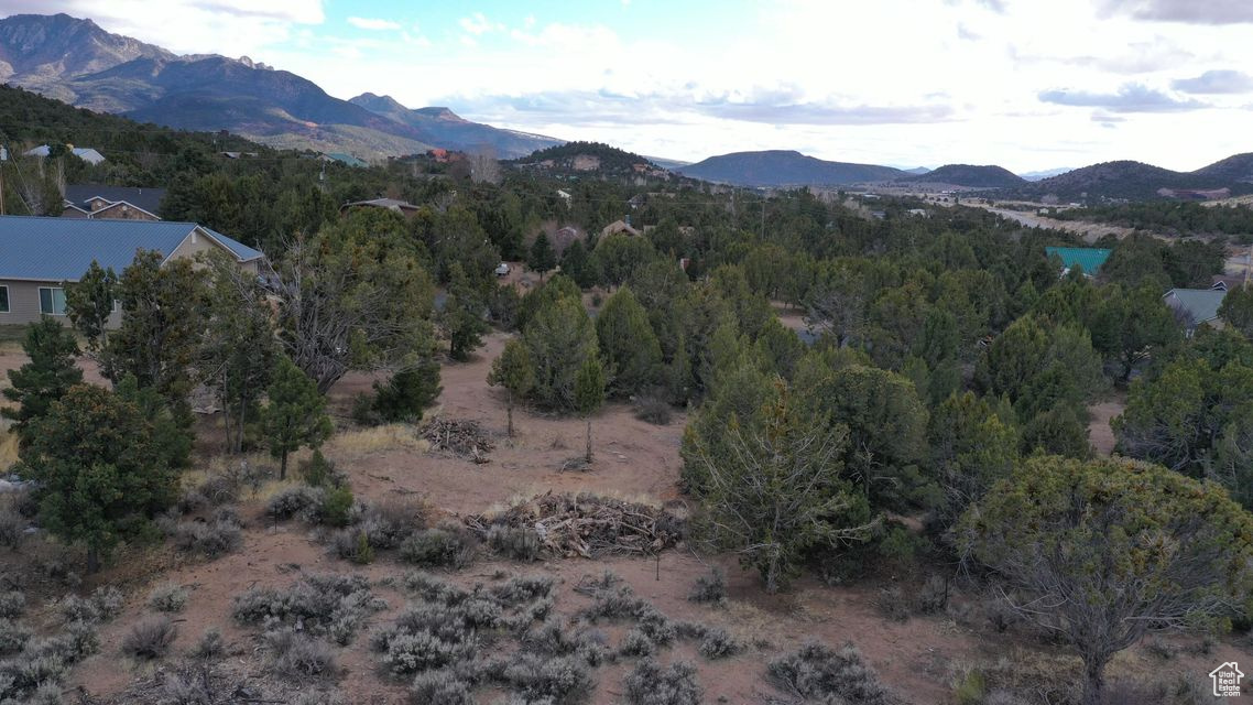 177 E Forest Dr, Central, Utah image 9