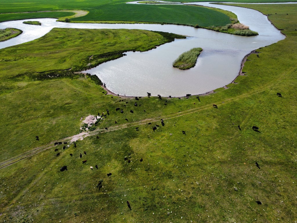 Photo of 950 BERN RD, Montpelier, ID 83254 (MLS # 2100296)