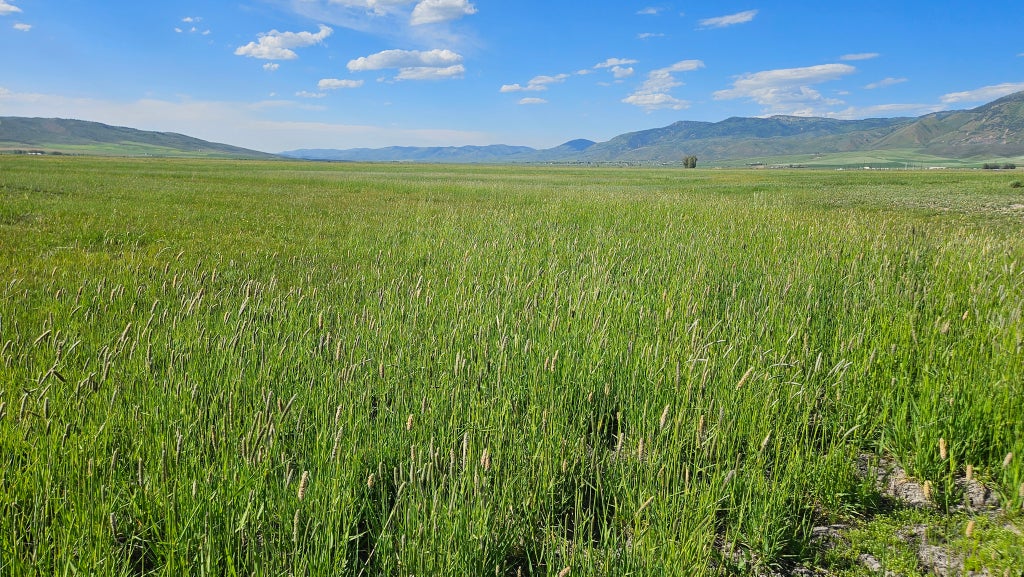 Photo of 950 BERN RD, Montpelier, ID 83254 (MLS # 2100296)