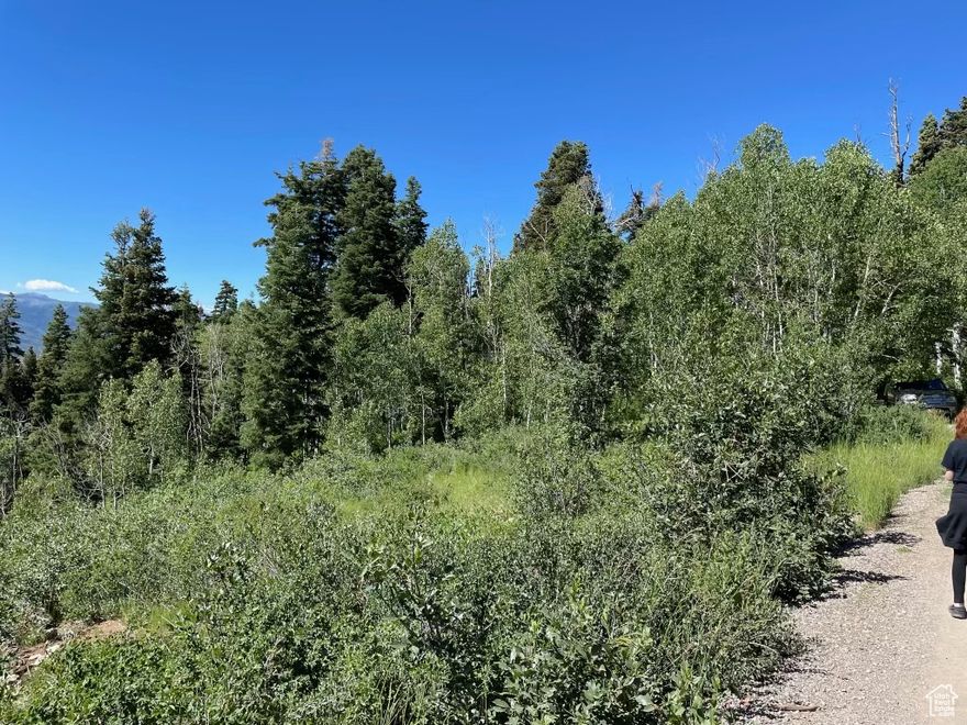 Get away from it all at this beautiful .80 acre view lot with Pines, Aspen and Maples in the Skyline Mtn gated Resort! Incredible views and on a very quiet, dead-end road. Located high on the hill, this property is ready for your lot design for a camp-spot and/or future cabin. It comes with plans for a 1600 sq ft, 3 bed, 2 bath cabin, survey and has passed a septic perc test. HOA fees are only $60 per month, which gives you access to tennis courts, pavilions for gatherings, a pickle ball court, a swimming pool, and a golf course! Each lot owner receives a $60 punch-pass per year for golfing and swimming plus member pricing. This area has so many options for outdoor activities including hiking, camping, and four wheeling. During the winter months, snowmobiles are needed to access this property. Utilities: Sewer not available- septic tank would need to be installed if desired. Water is hauled in from a central filling station not too far away. Power available. Access is through an electric gate.