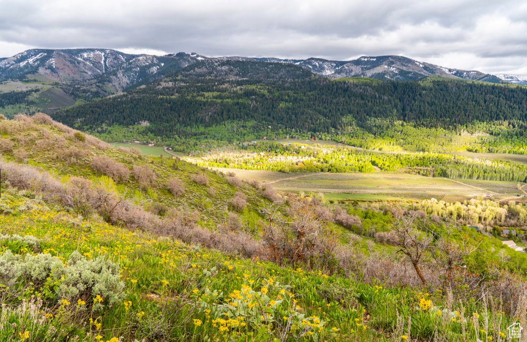 CANYON RIM RANCH SUBDIVISION - Residential