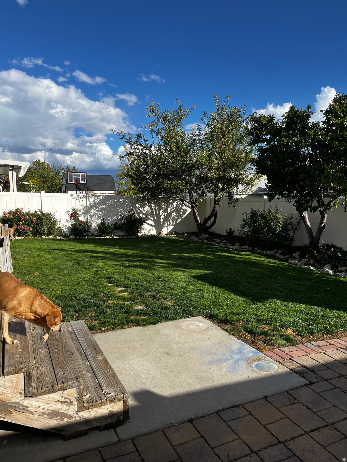 MAPLES - Residential