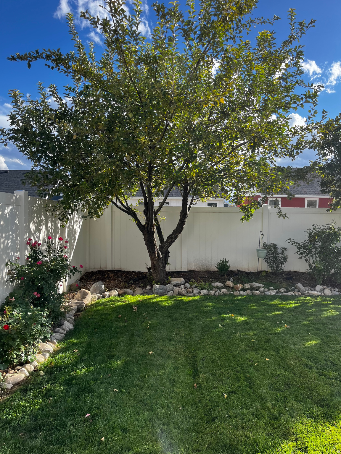 MAPLES - Residential