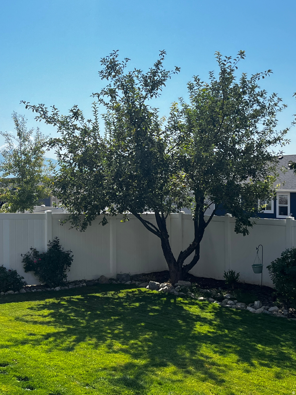 MAPLES - Residential