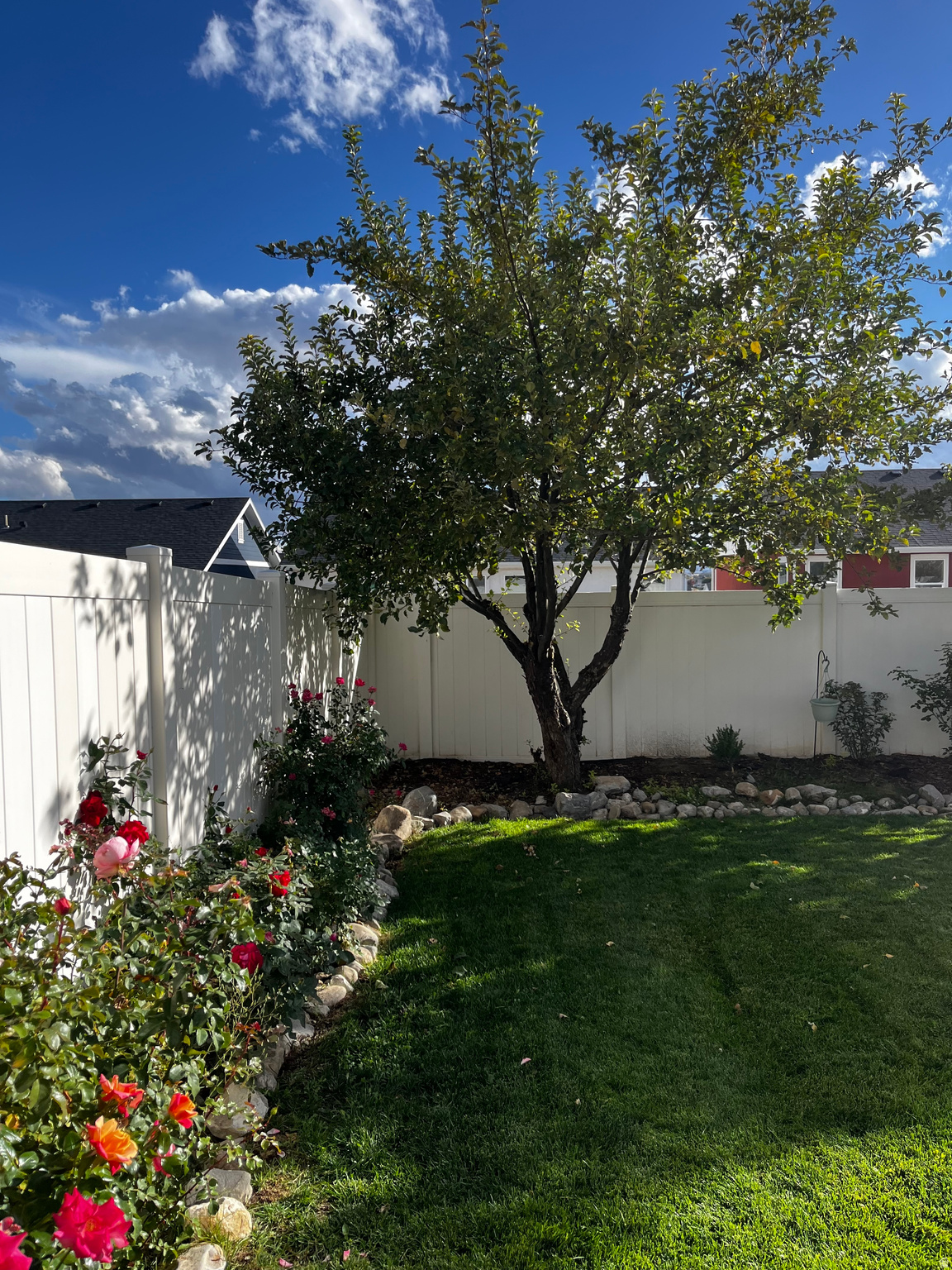 MAPLES - Residential