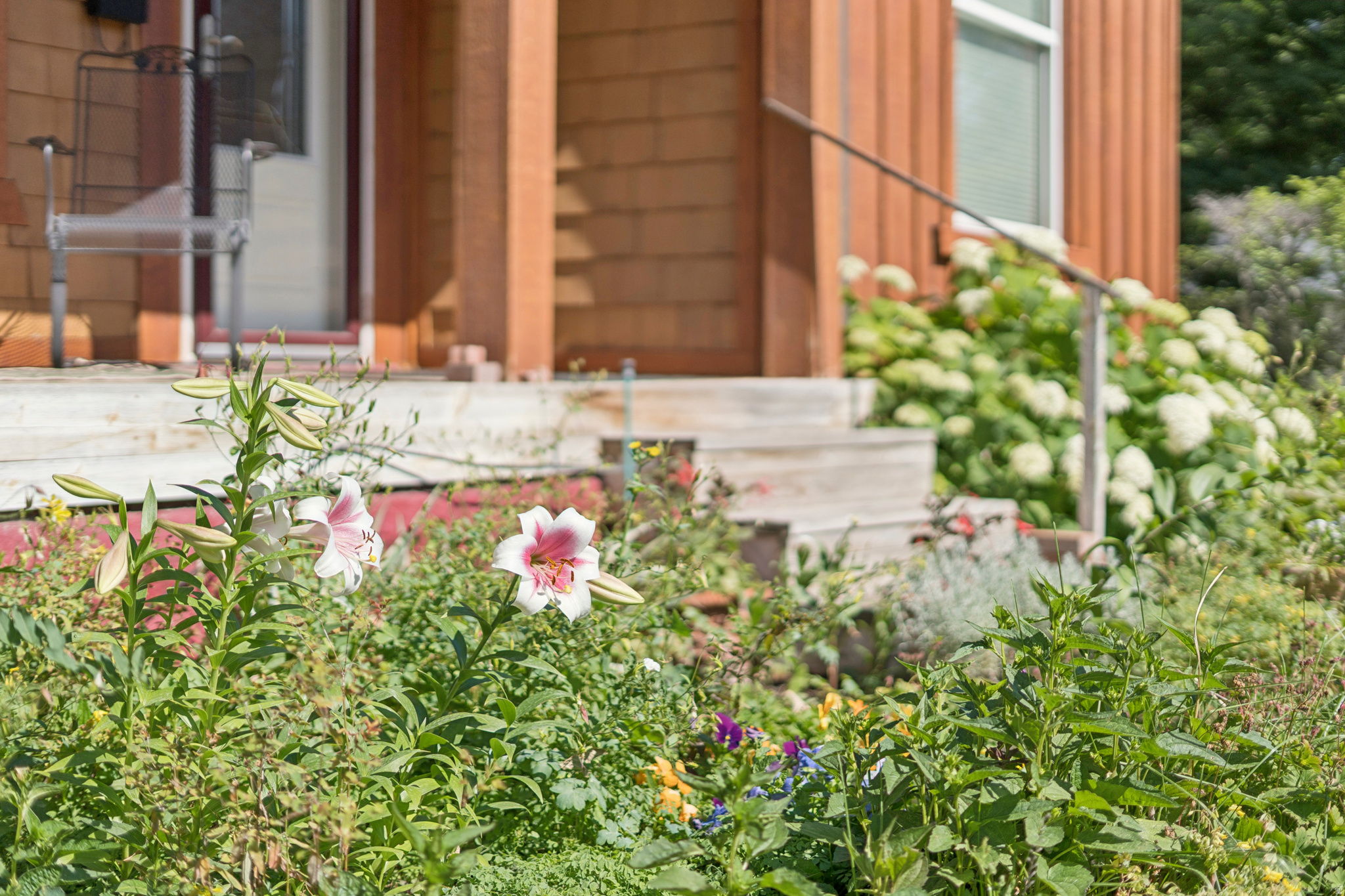 VILLA PARK - Residential