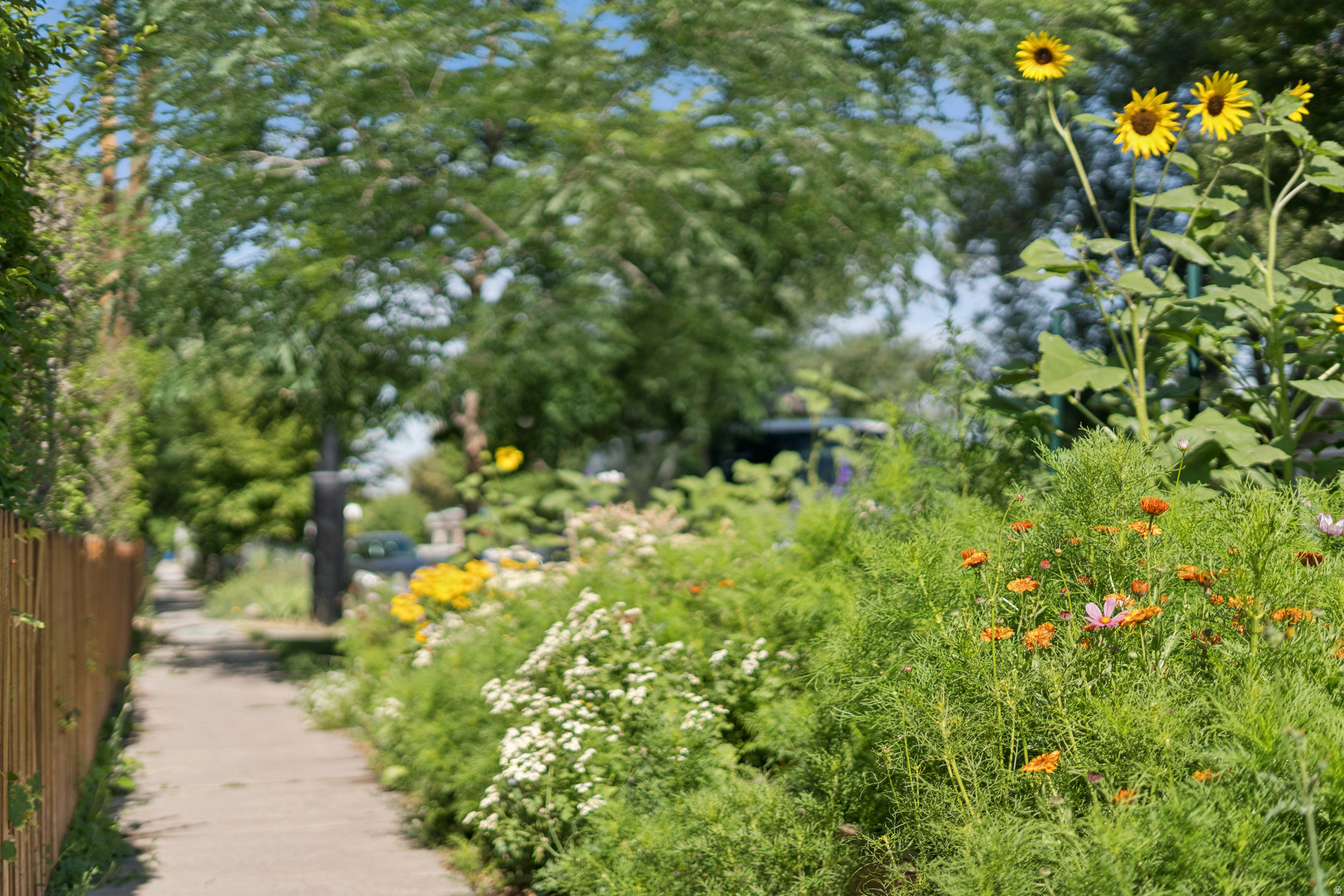 VILLA PARK - Residential