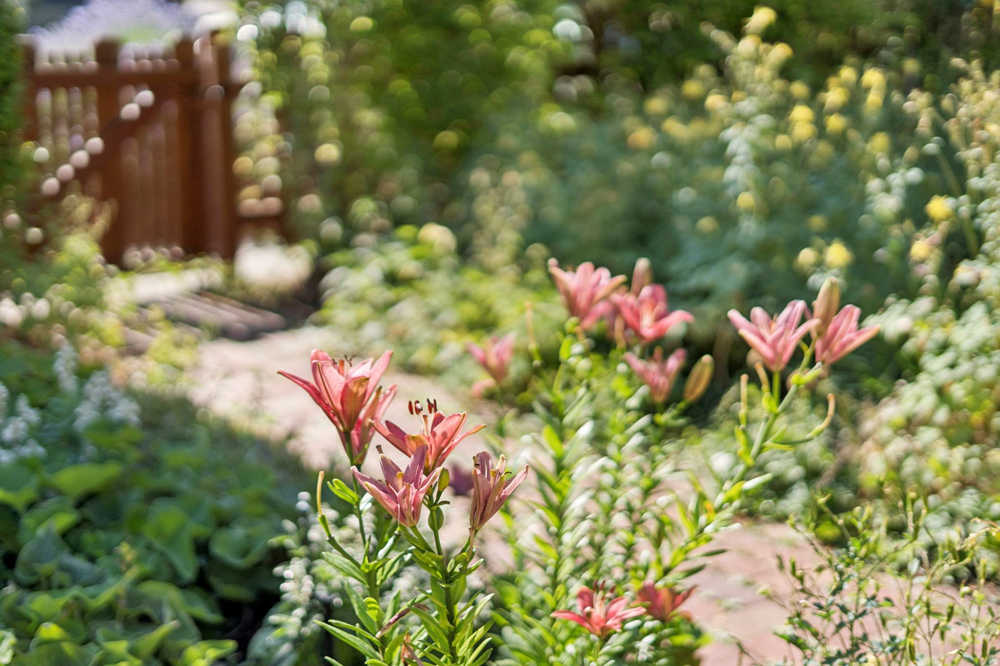 VILLA PARK - Residential