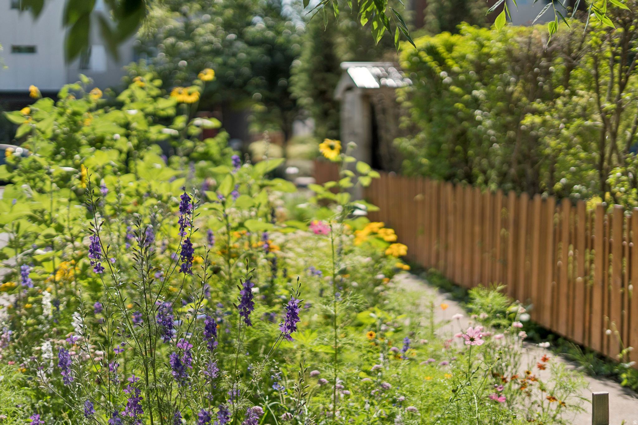 VILLA PARK - Residential