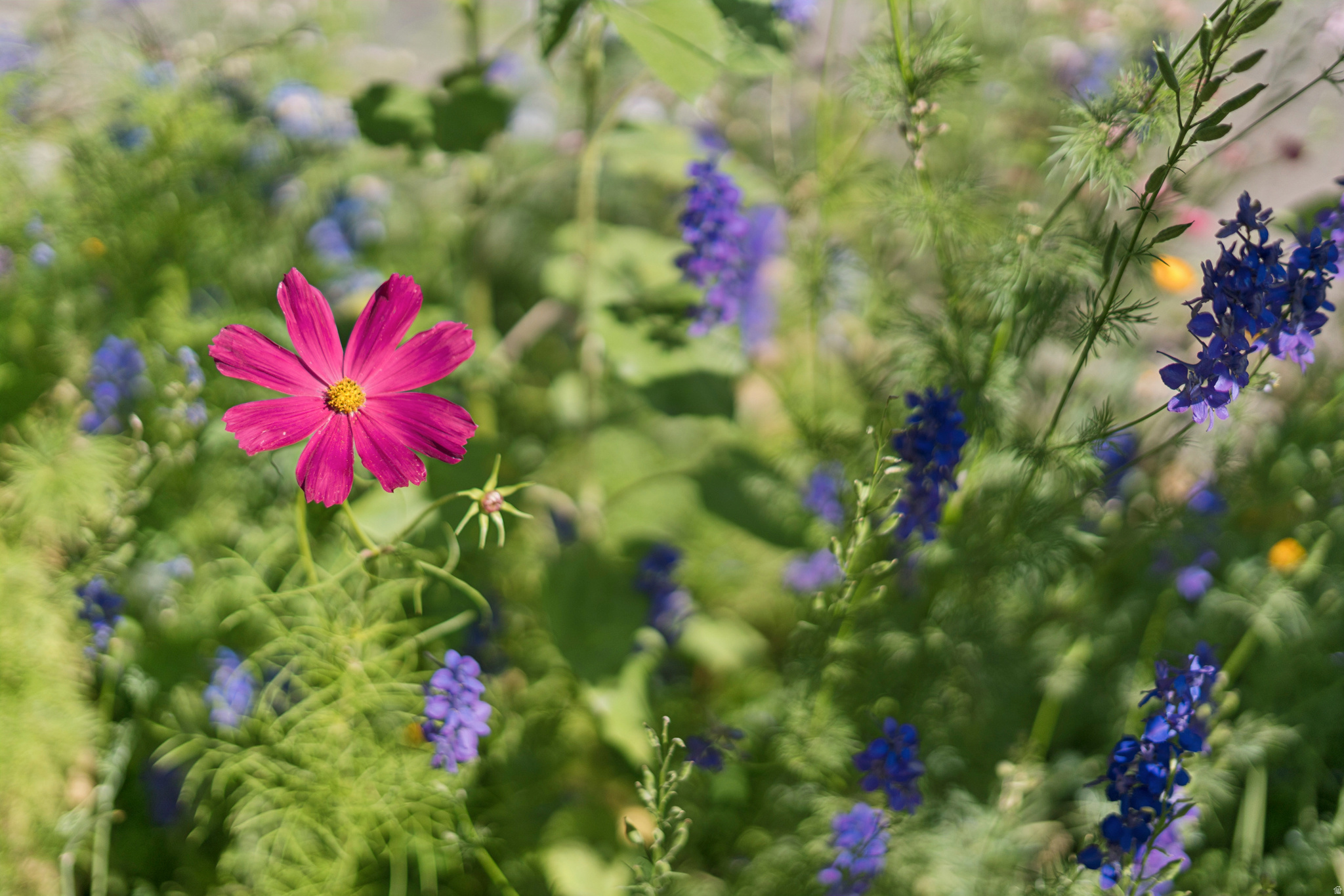 VILLA PARK - Residential