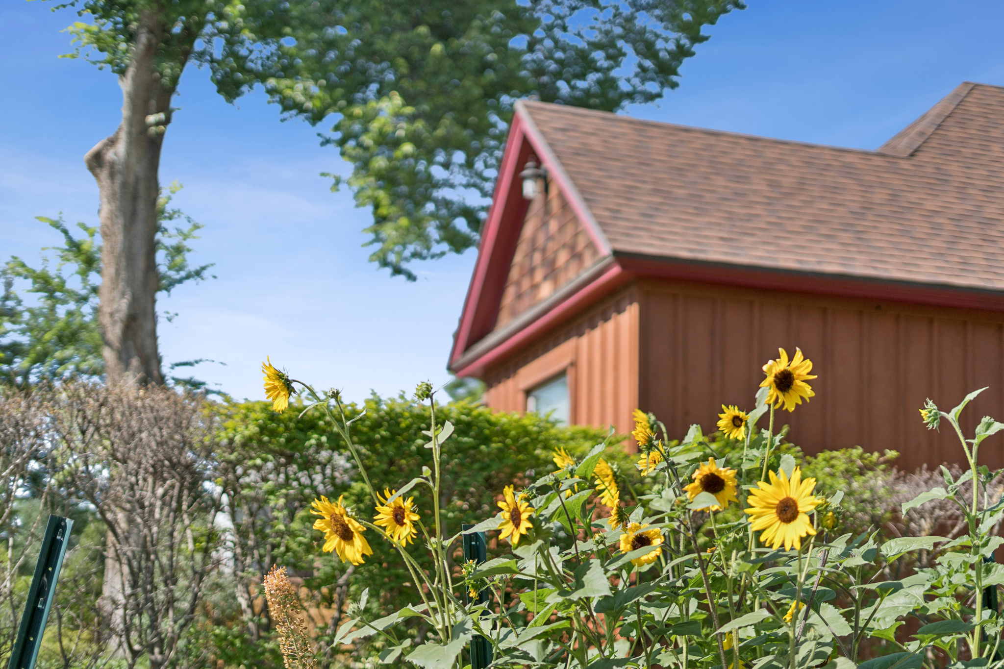 VILLA PARK - Residential