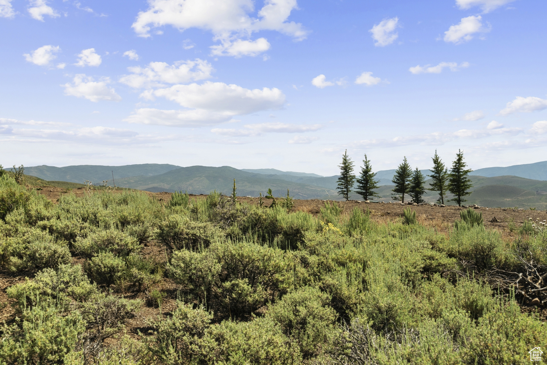 LINKS EDGE - Residential