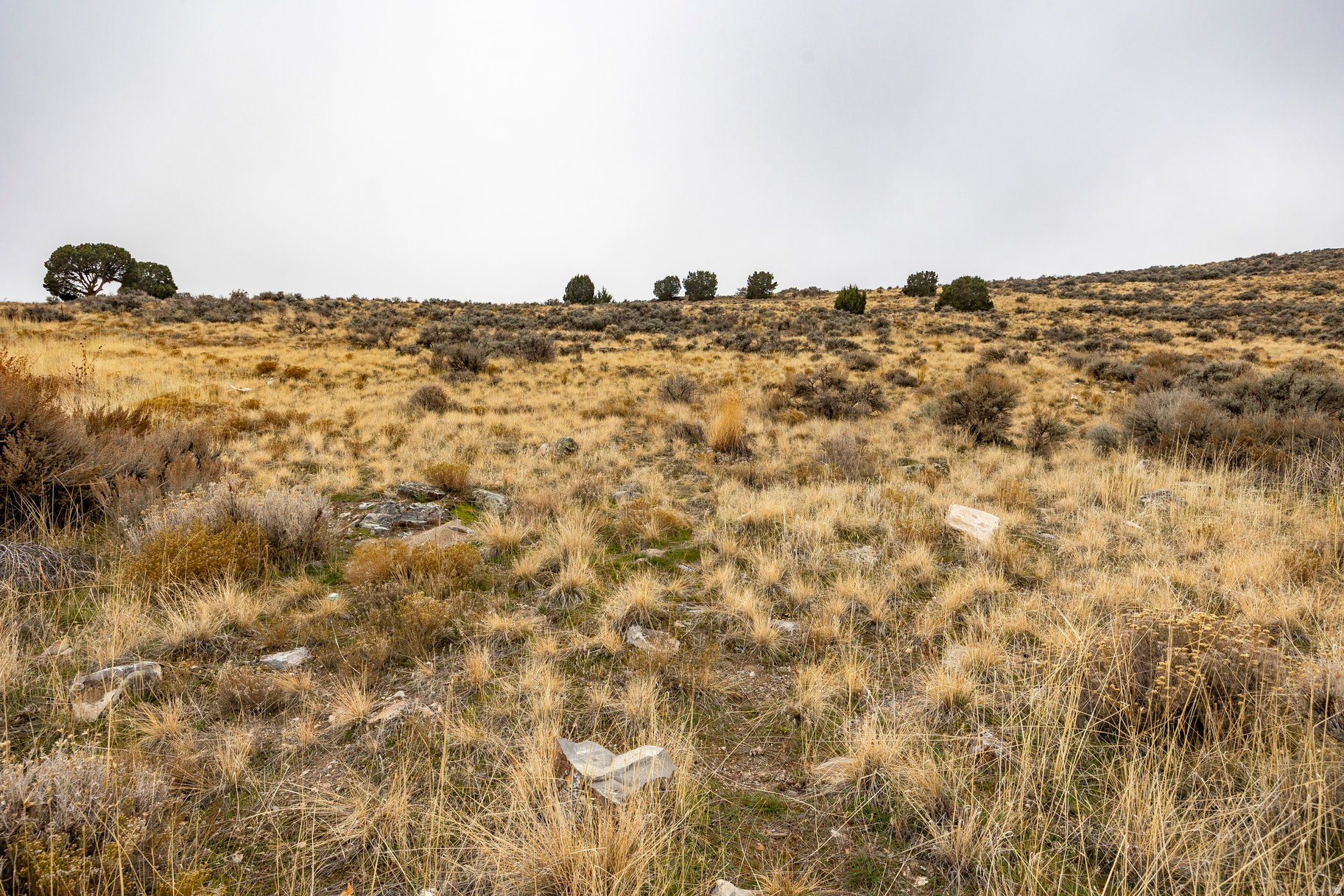 RUBY VALLEY AT SADDL - Land