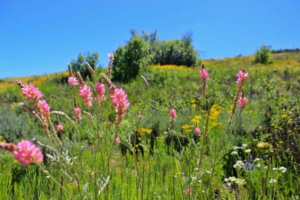 HARDWARE PARK MOUNTAIN ESTATES - Land