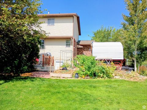 Tiny photo for 1407 SHEPHERD DR, Wellington, UT 84542 (MLS # 2114906)