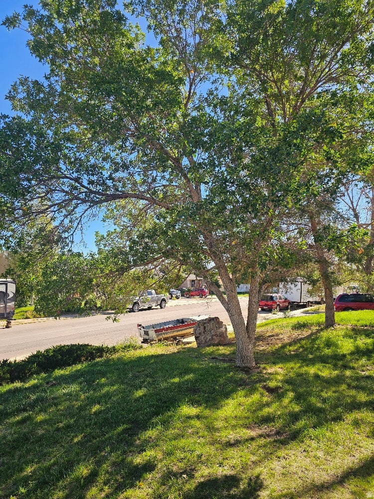 Photo of 4689 W HILLSIDE DR, Vernal, UT 84078 (MLS # 2183798)