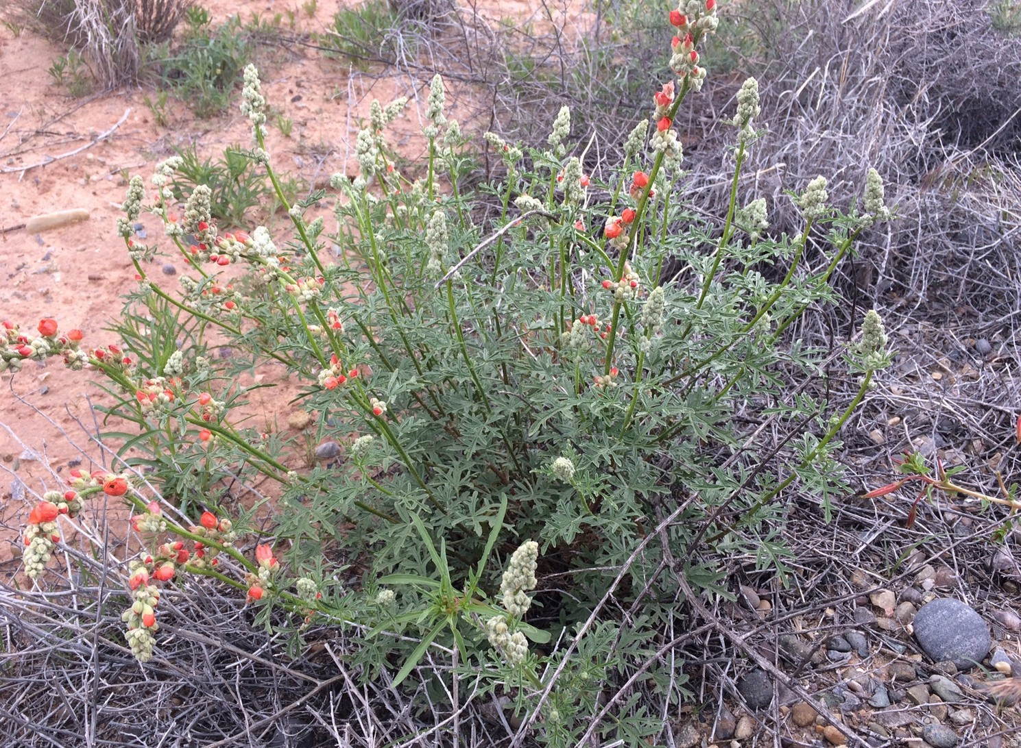 COPPER CLIFFS SUBDIVISION - Land