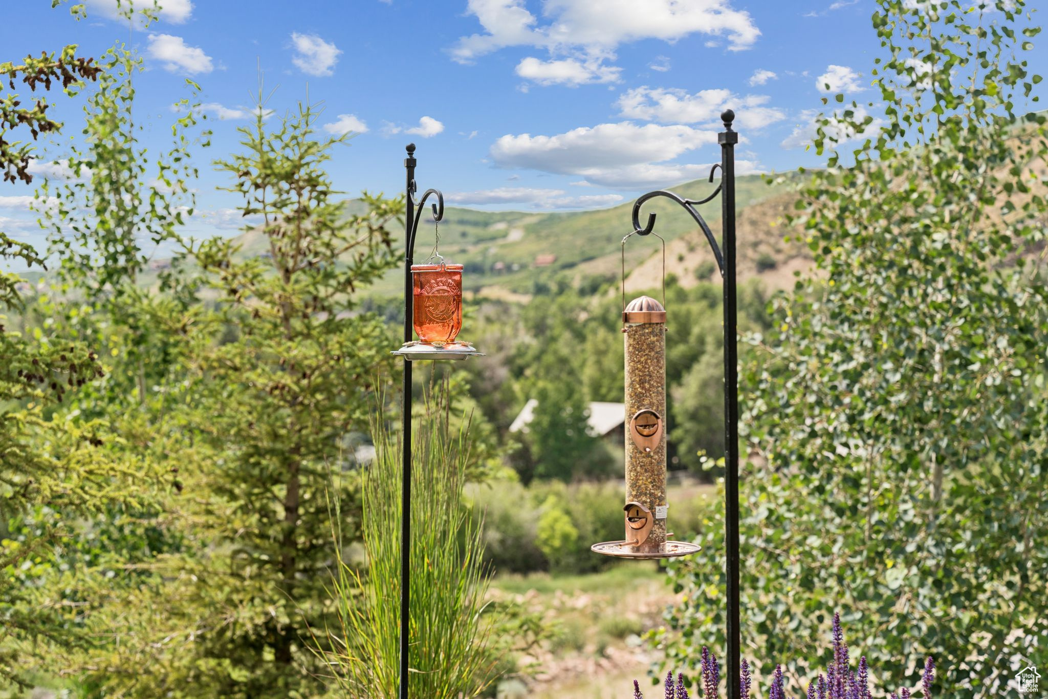 WEBER WILD ESTATES - Residential