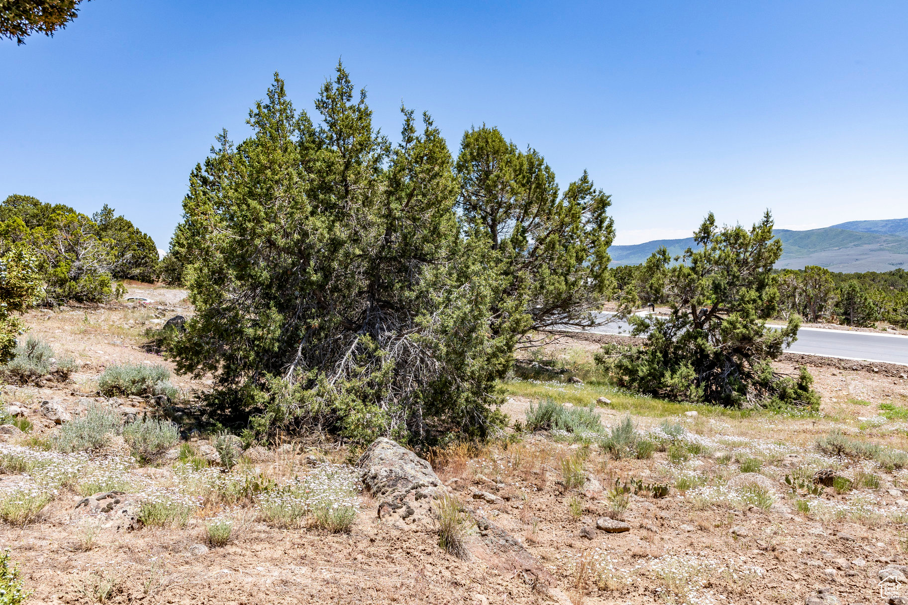 3002 E La Sal Peak Drive #615, Heber City, Utah image 4