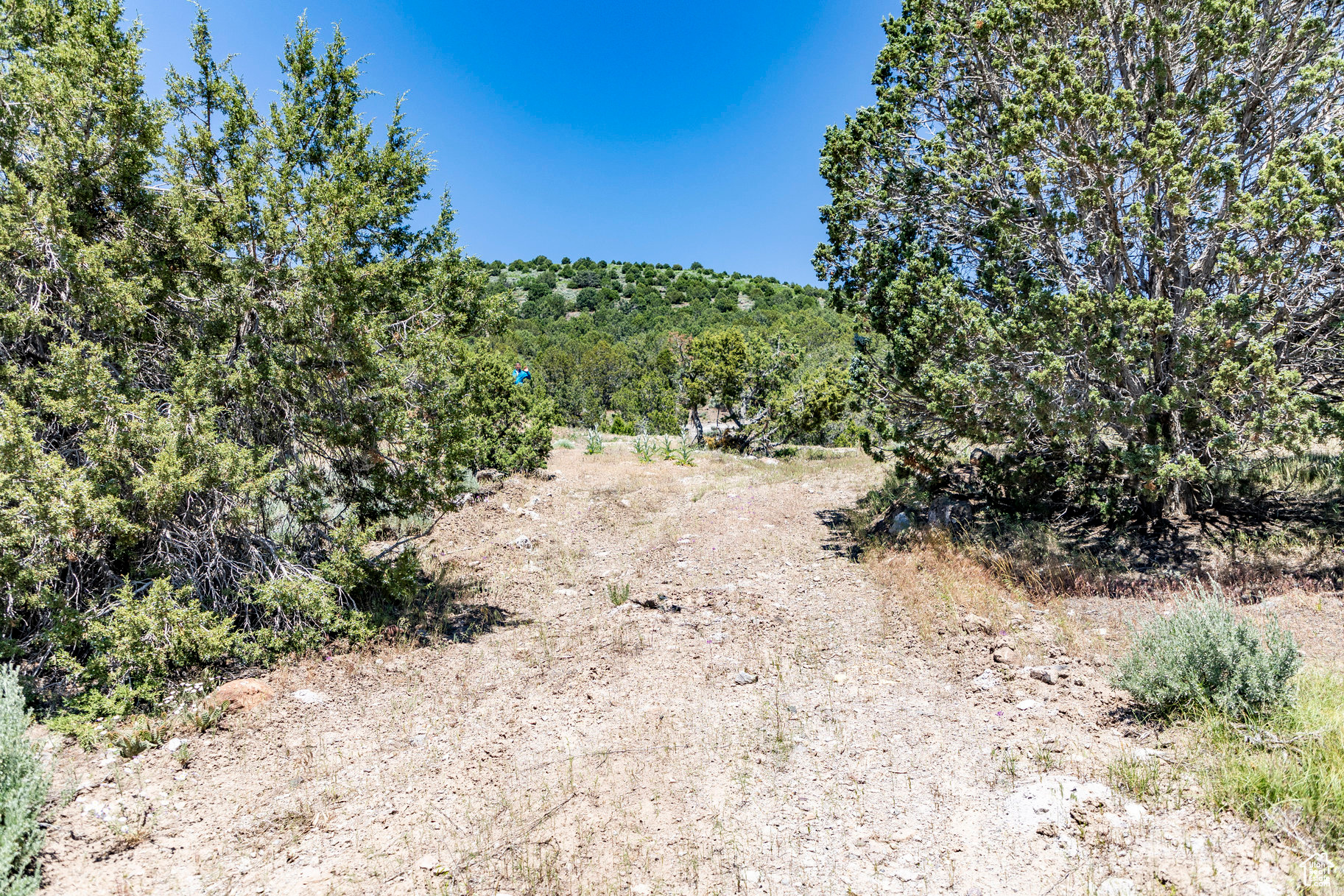 3002 E La Sal Peak Drive #615, Heber City, Utah image 20