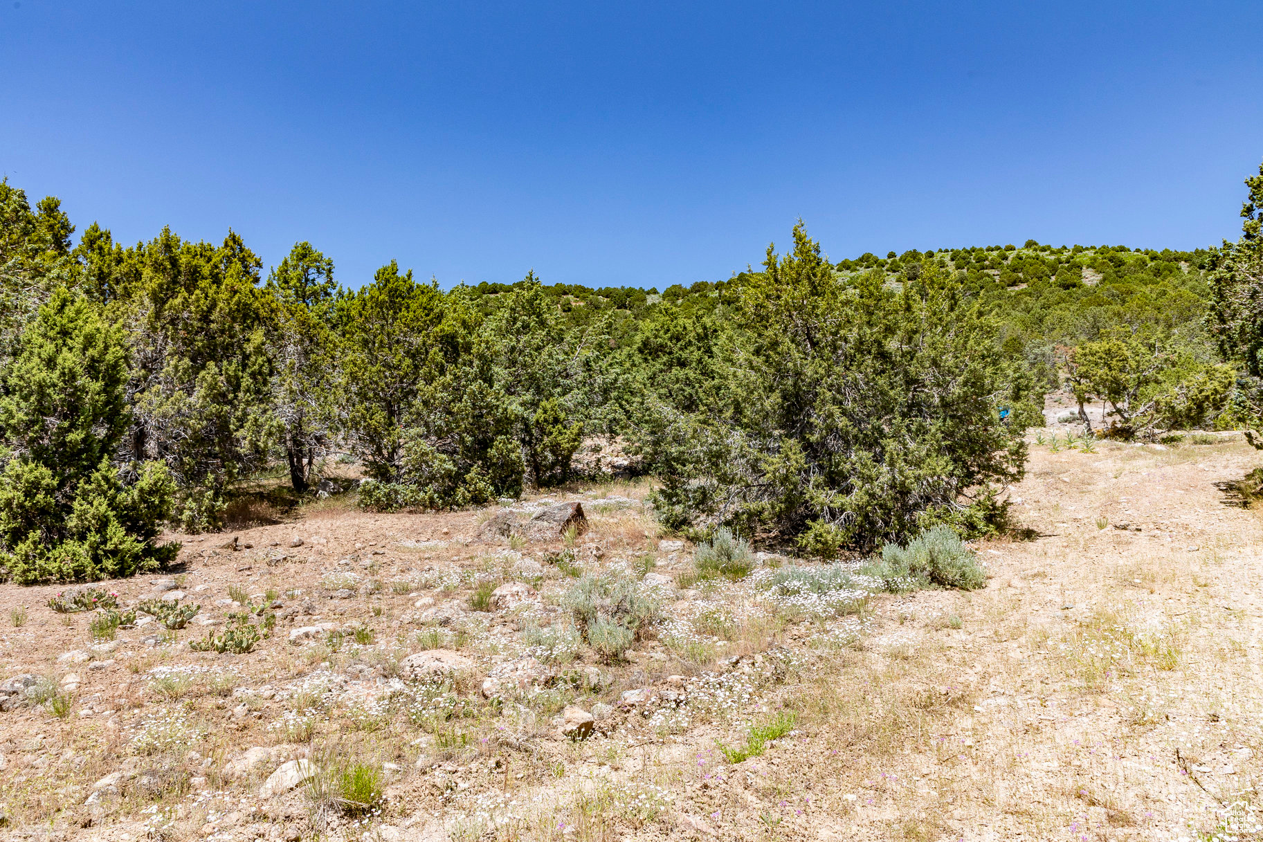 3002 E La Sal Peak Drive #615, Heber City, Utah image 5