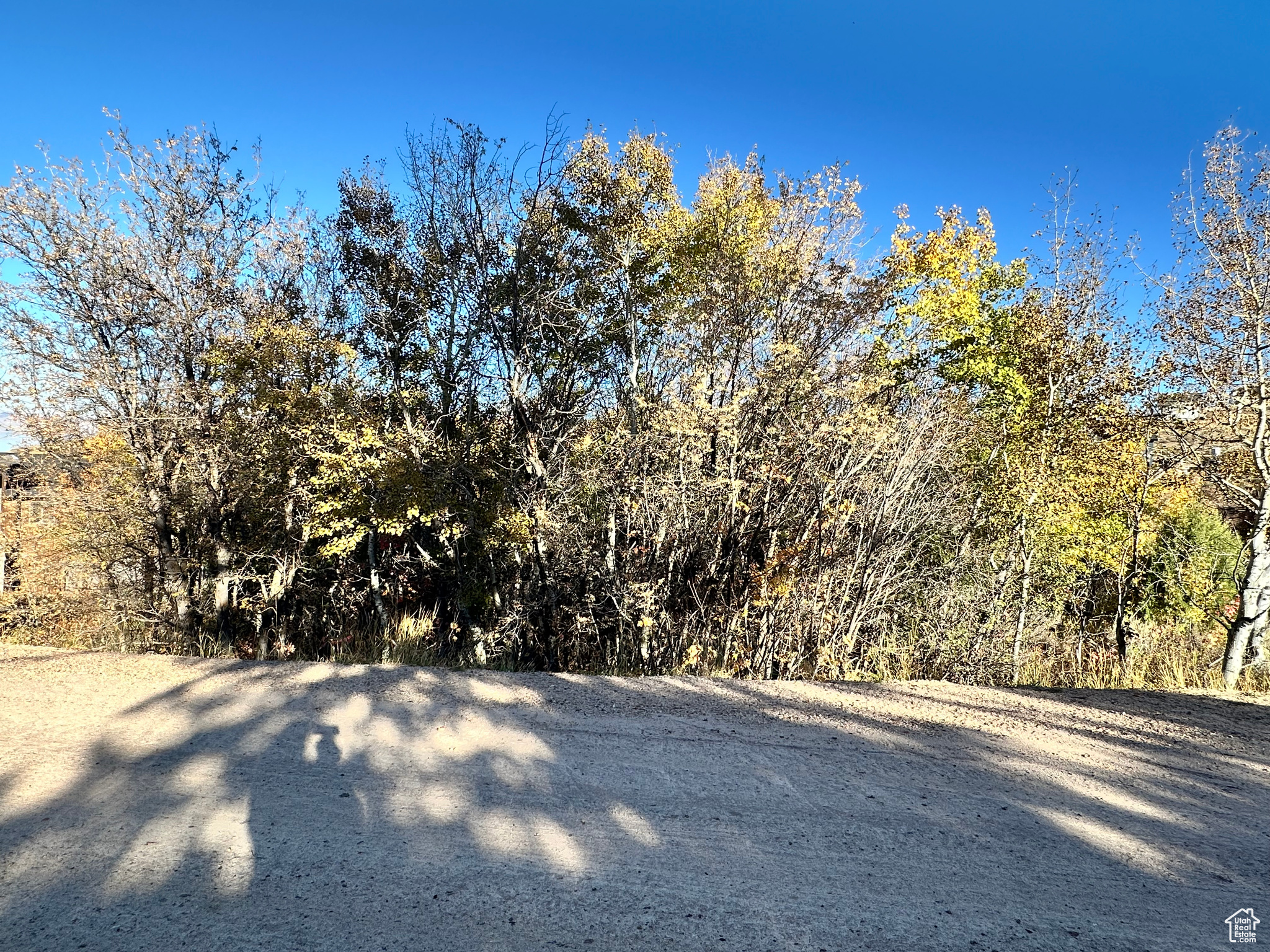 SWAN CREEK - Land