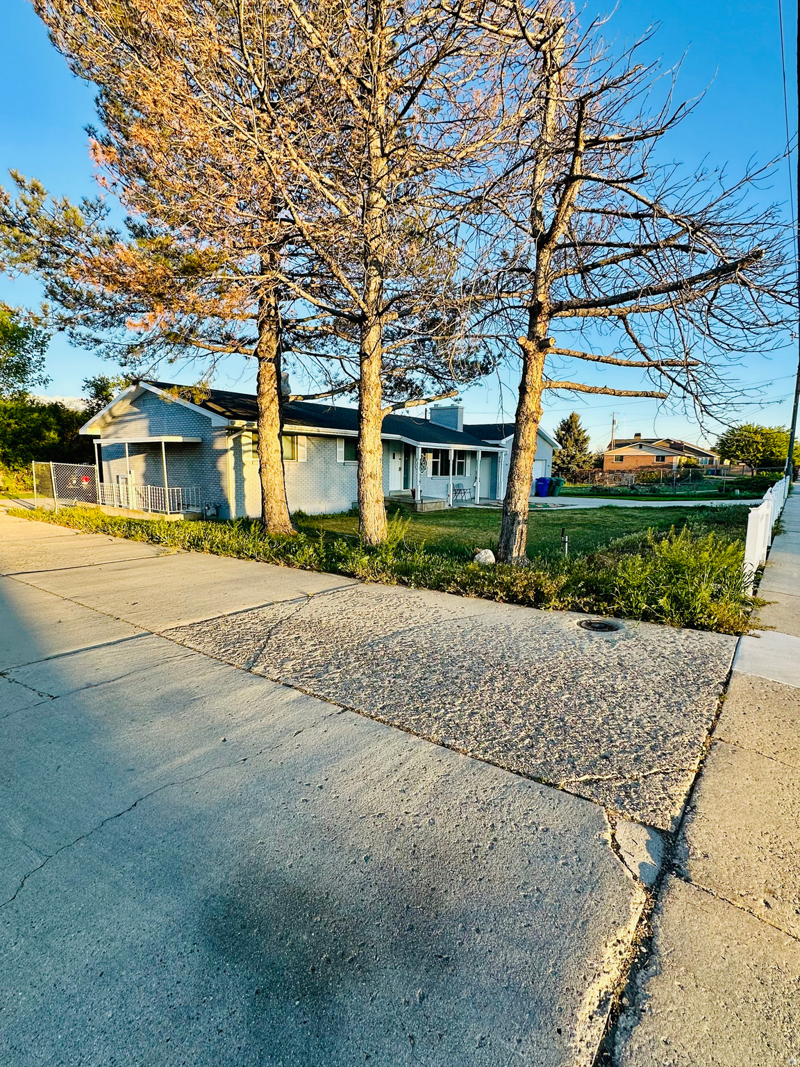 Main image without alt text