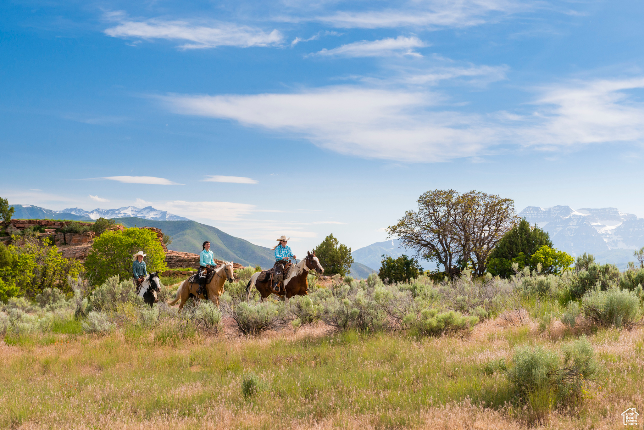 RED LEDGES - Land