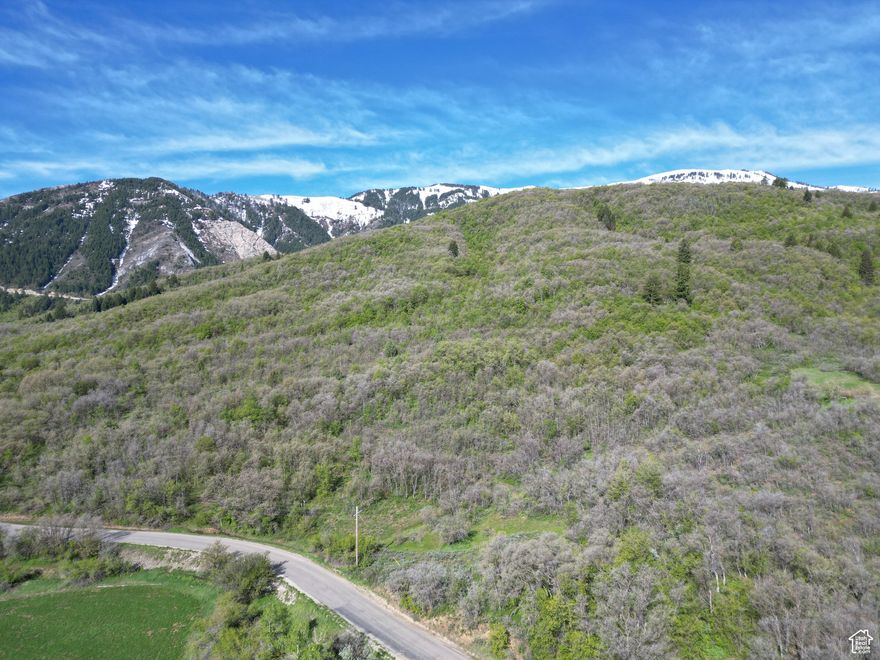 Beautiful 9.96 acre lot located at the bottom of North Ogden Divide, with stunning views of Ogden Valley. You will love the scrub oak and trees that makes this lot private and secluded.  Located near North Fork Park, world class ski resorts,  and Pineview Reservoir.  Power and gas located nearby, but not connected. No water shares or rights available at this time, but a well is a possibility.  Directions: Turn North on 2900 E and look for Besst Realty sign. The approximate address is 4601 N 2900 E Liberty ,UT.