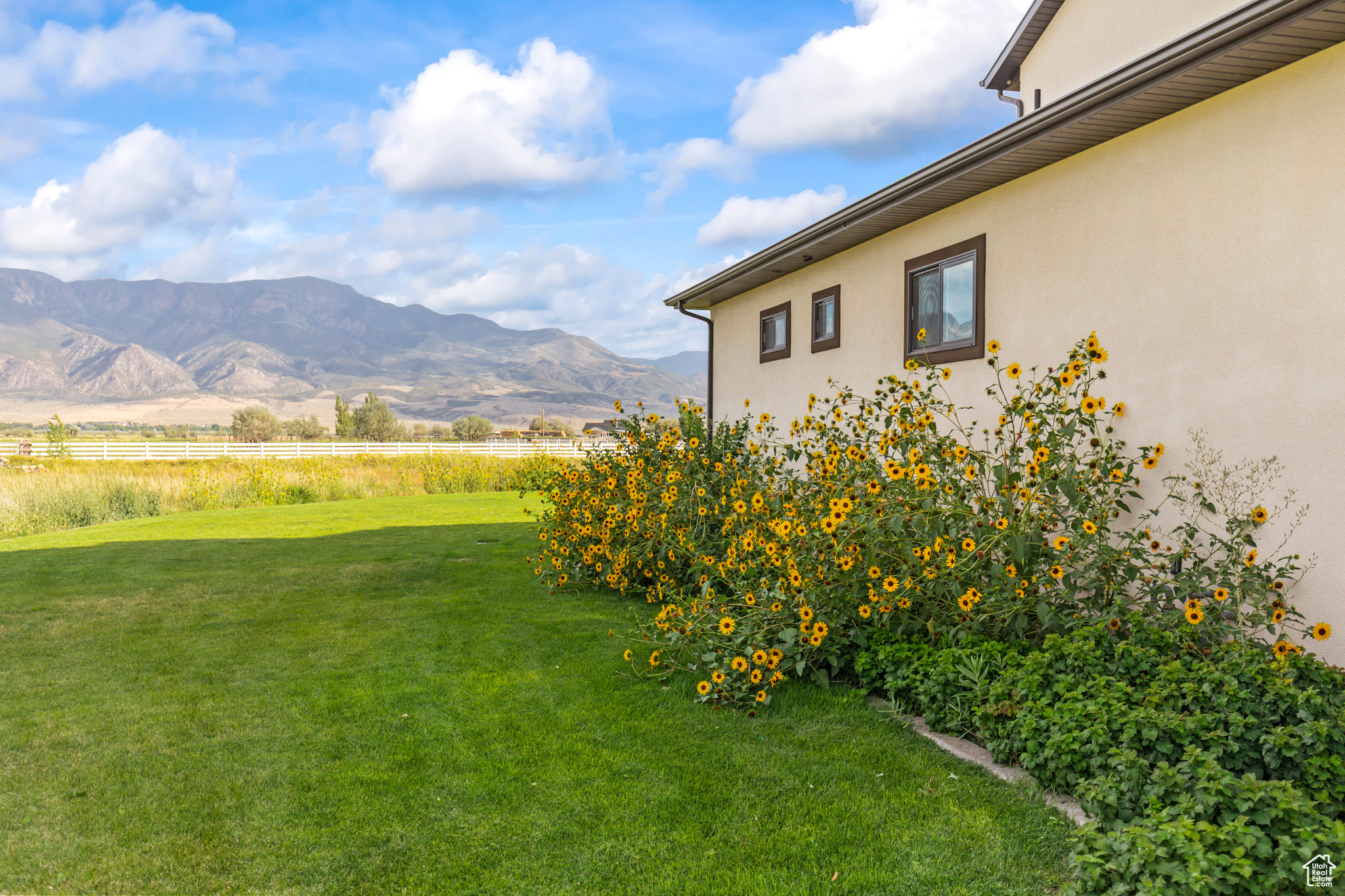 NORTH MEADOW - Residential