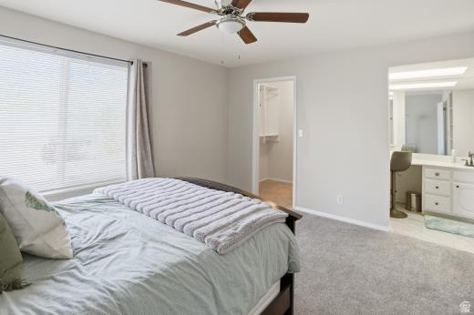 SPRINGHILL - Residential