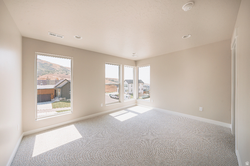 CANYON POINT - Residential