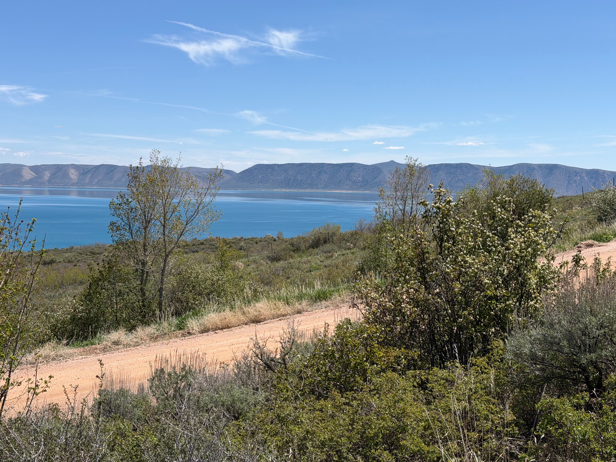 SWAN CREEK VILLAGE - Land