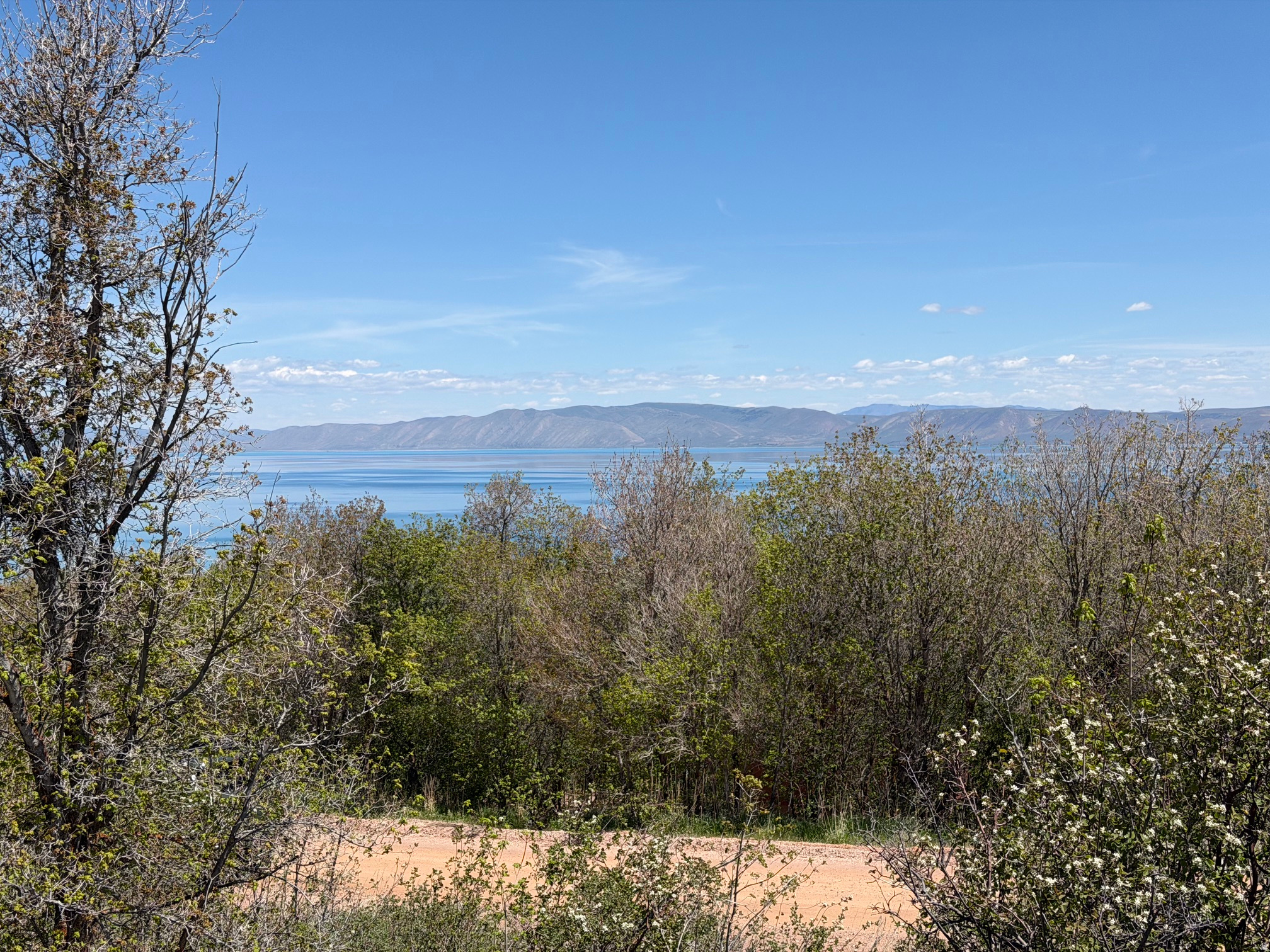 SWAN CREEK VILLAGE - Land