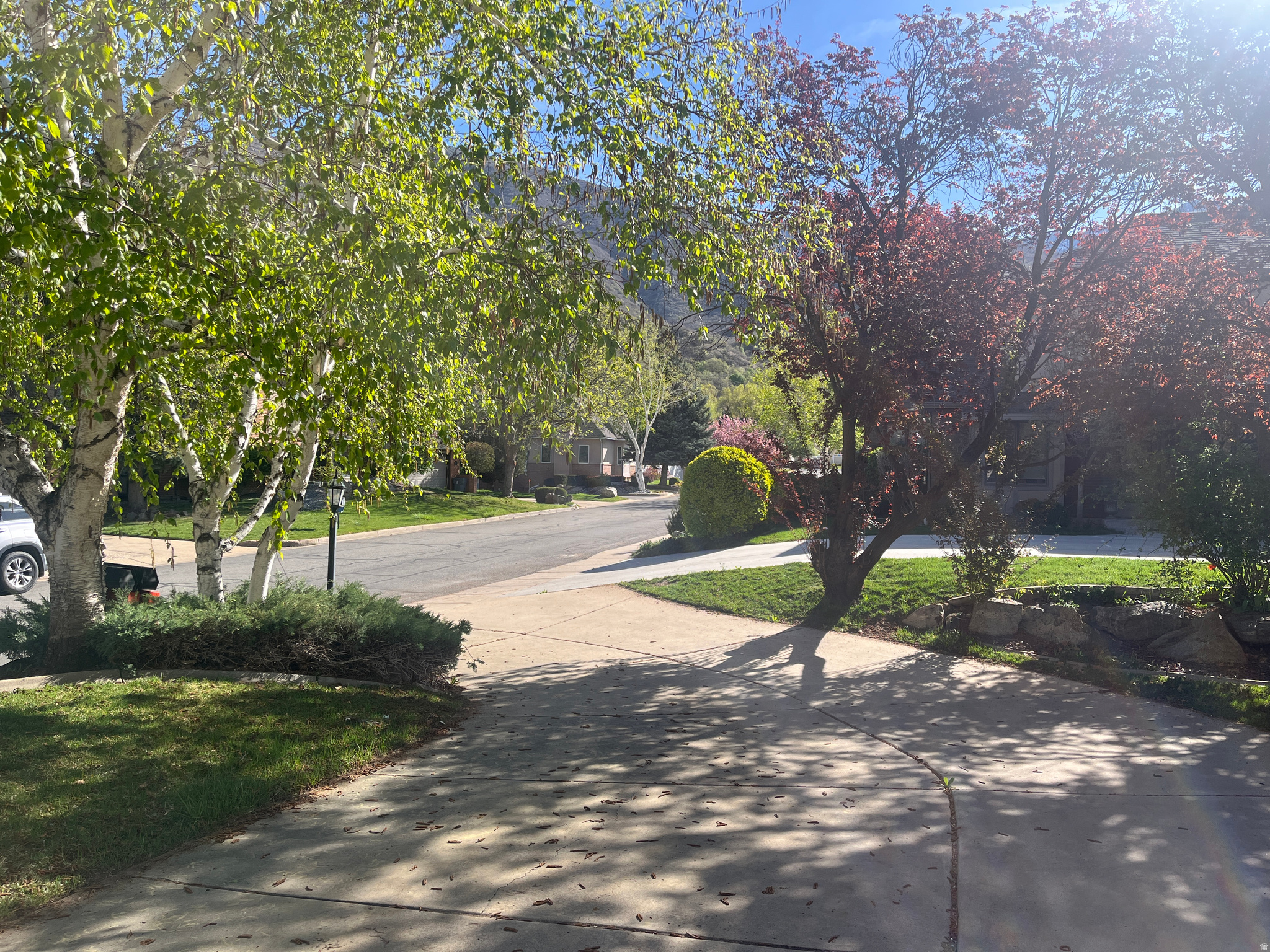 MOUNTAIN MEADOWS - Residential