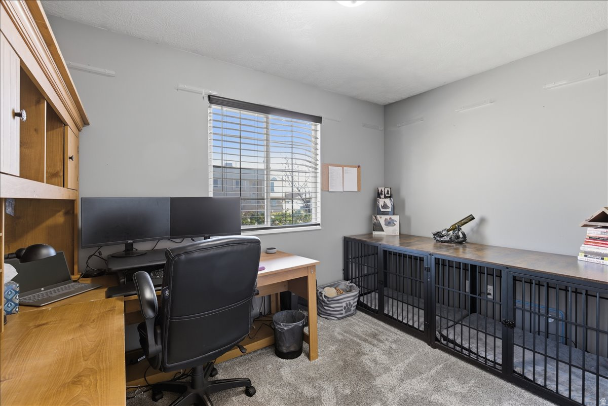 WEST MEADOWS - Residential