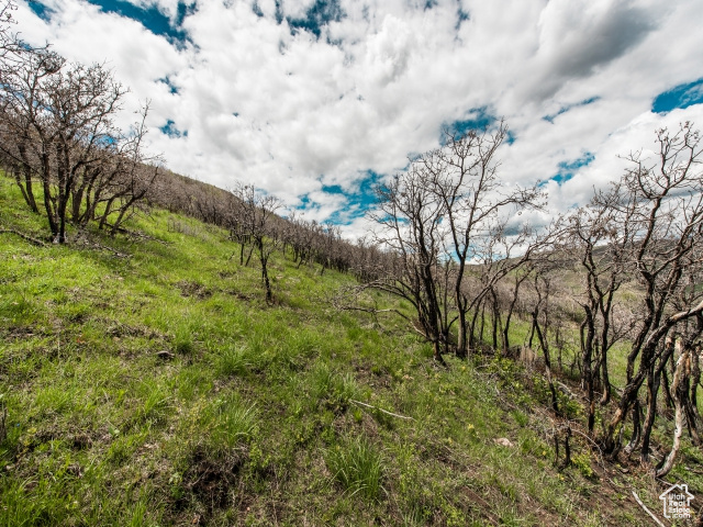 2 No Address #178, Coalville, Utah image 5
